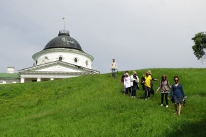 Дворец Тарновских, Качановка